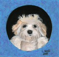 Lily Muttsarella