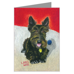 Mac is a Scottish Terrier