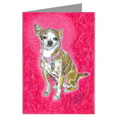 Poops is a Chihuahua